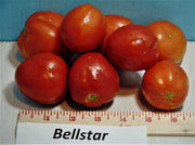 copy Bellstar Paste, Tomato, - BoxGardenSeedsLLC -Tomatoes,Tomatillos - Seeds