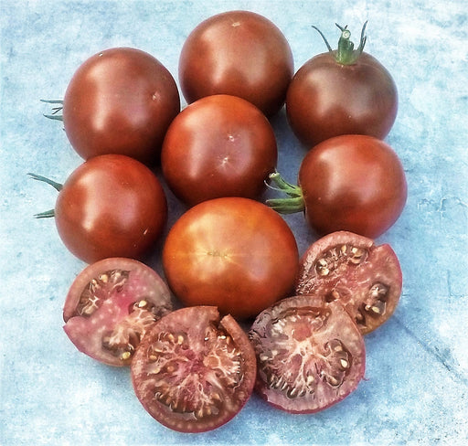 Carbon, Tomato, -- BoxGardenSeedsLLC -Tomatoes,Tomatillos - Seeds