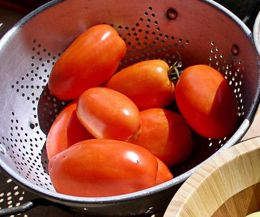 - BoxGardenSeedsLLC - Roma VF Paste, Tomato, - Tomatoes,Tomatillos - Seeds