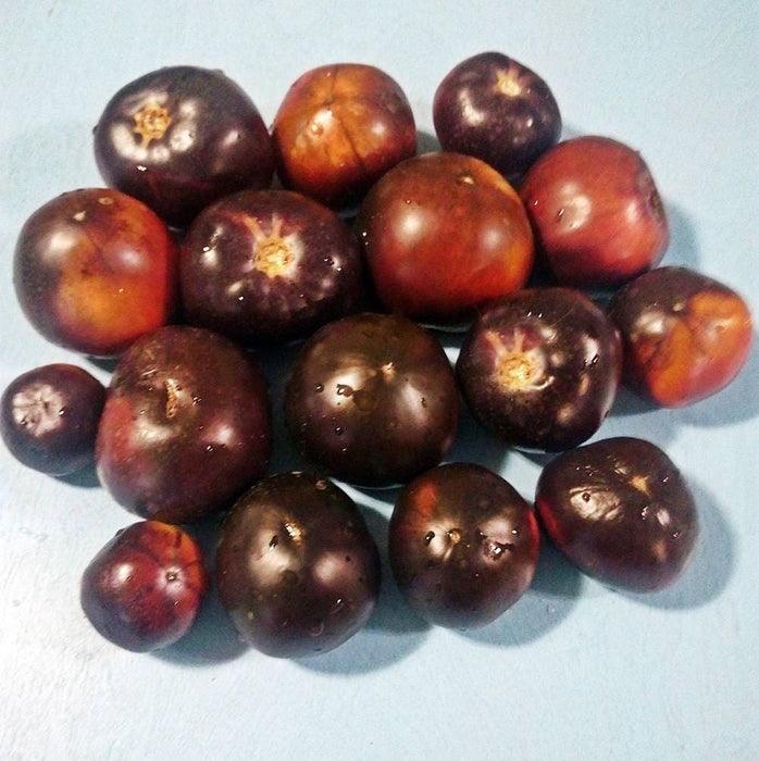 Black Beauty, Tomato, -- BoxGardenSeedsLLC -Tomatoes,Tomatillos - Seeds