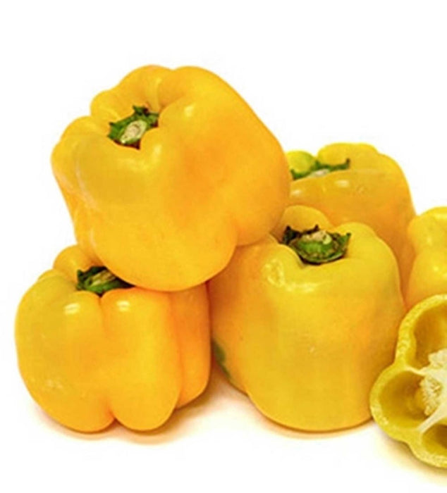 Sunbright, Sweet Bell Pepper - BoxGardenSeedsLLC - Peppers,Eggplants - Seeds - USA Seller, Thank you for shopping here today, Naturally Grown GMO Free Seeds, Heirloom Open Pollinated Seeds, Fresh Top Quality Premium Seeds