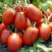 Rio Grande, Tomato, - BoxGardenSeedsLLC -Tomatoes,Tomatillos - Seeds