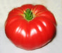 Dutchman, Tomato, -- BoxGardenSeedsLLC -Tomatoes,Tomatillos - Seeds