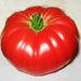 Dutchman, Tomato, - BoxGardenSeedsLLC -Tomatoes,Tomatillos - Seeds