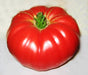 - BoxGardenSeedsLLC - Dutchman, Tomato, - Tomatoes,Tomatillos - Seeds