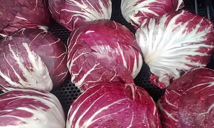 Palla Rosa, Radicchio, -- BoxGardenSeedsLLC -Gourmet/Native Greens - Seeds