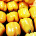 Sunbright, Sweet Bell Pepper, - BoxGardenSeedsLLC -Peppers,Eggplants - Seeds