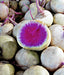 Red Meat (Watermelon), Radish - BoxGardenSeedsLLC - Melons, Cantaloupe - Seeds - USA Seller, Thank you for shopping here today, Naturally Grown GMO Free Seeds, Heirloom Open Pollinated Seeds, Fresh Top Quality Premium Seeds