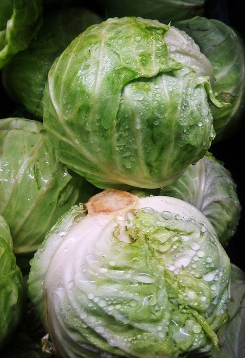 Early Golden Acre, Cabbage, -- BoxGardenSeedsLLC -Cabbage, Kale - Seeds