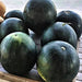 Bush Sugar Baby, Watermelon, - BoxGardenSeedsLLC -Melons, Cantaloupe - Seeds