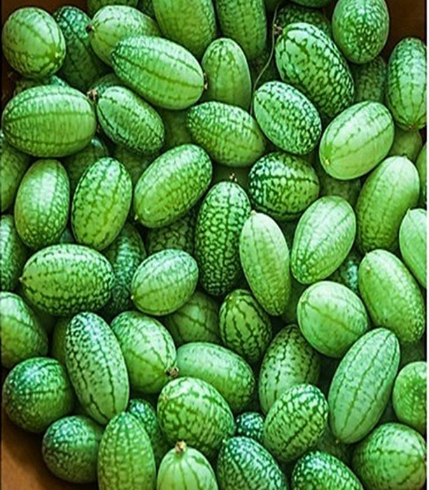 Cucamelon, Mexican Sour Gherkin, - BoxGardenSeedsLLC -Melons, Cantaloupe - Seeds