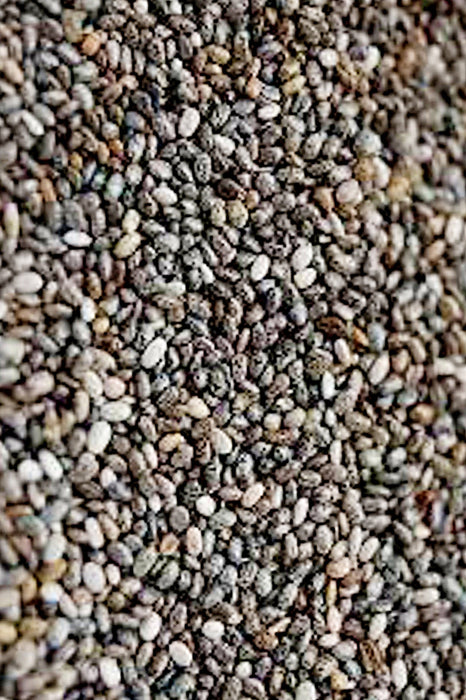 Chia, Culinary & Medicinal Herbs, -- BoxGardenSeedsLLC -Culinary/Medicinal Herbs - Seeds