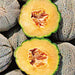 Hearts of Gold, Cantaloupe, - BoxGardenSeedsLLC -Melons, Cantaloupe - Seeds