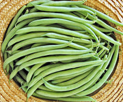 Provider, Bush Beans - BoxGardenSeedsLLC - Beans / Dry Beans - Seeds - USA Seller, Thank you for shopping here today, Naturally Grown GMO Free Seeds, Heirloom Open Pollinated Seeds, Fresh Top Quality Premium Seeds