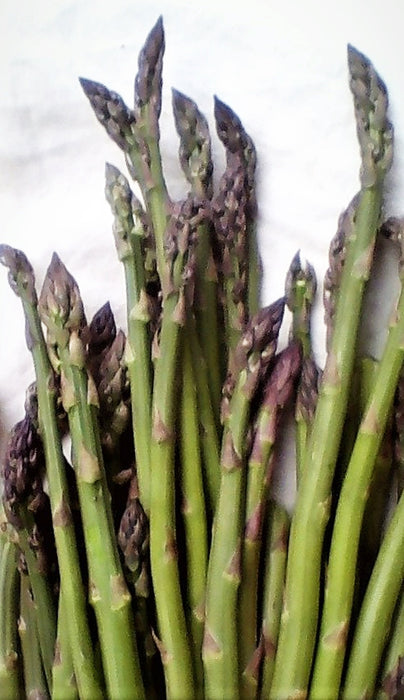 - BoxGardenSeedsLLC - Mary Washington, Asparagus, - Gourmet/Native Greens - Seeds