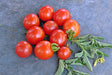 - BoxGardenSeedsLLC - Mexico Midget, Tomato, - Tomatoes,Tomatillos - Seeds