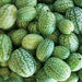 Cucamelon, Mexican Sour Gherkin, - BoxGardenSeedsLLC -Melons, Cantaloupe - Seeds