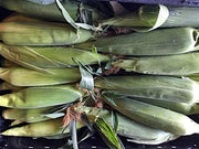 Golden Bantam, Sweet Corn - BoxGardenSeedsLLC - Corn - Seeds - USA Seller, Thank you for shopping here today, Naturally Grown GMO Free Seeds, Heirloom Open Pollinated Seeds, Fresh Top Quality Premium Seeds