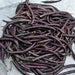 Purple Podded, Pole Beans -- BoxGardenSeedsLLC -Beans / Dry Beans - Seeds