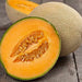 Hearts of Gold, Cantaloupe, - BoxGardenSeedsLLC -Melons, Cantaloupe - Seeds