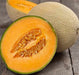 Hearts of Gold, Cantaloupe, -- BoxGardenSeedsLLC -Melons, Cantaloupe - Seeds