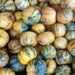 Styrian Hulless Pumpkin Seeds - BoxGardenSeedsLLC -Squash,Pumpkins - Seeds