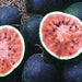 Small Shining Light, Watermelon, -- BoxGardenSeedsLLC -Melons, Cantaloupe - Seeds