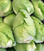 Cabbage, Charleston Wakefield, -- BoxGardenSeedsLLC -Cabbage, Kale - Seeds