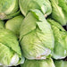 Cabbage, Charleston Wakefield, - BoxGardenSeedsLLC -Cabbage, Kale - Seeds