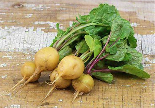 Helios, Radish, -- BoxGardenSeedsLLC -Radishes - Seeds