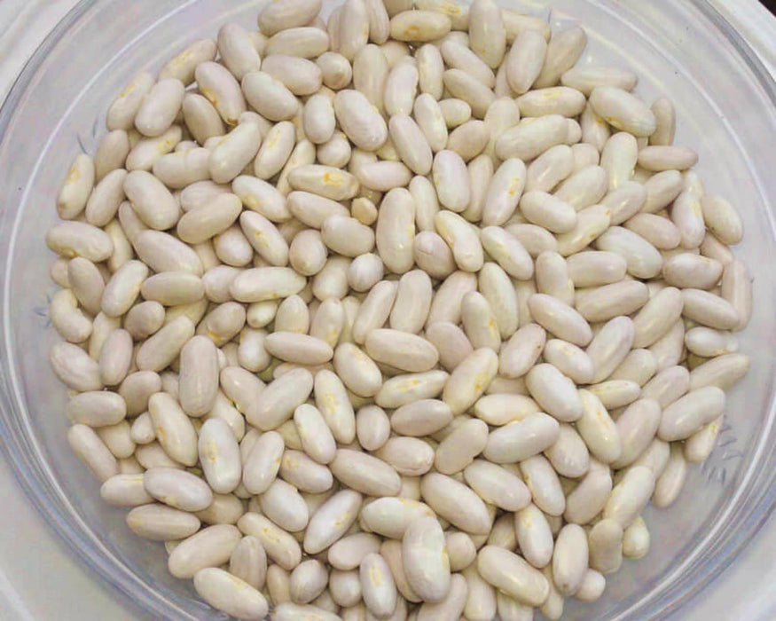 Cannellini, Dry Bush Beans, -- BoxGardenSeedsLLC -Beans / Dry Beans - Seeds