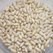 Cannellini, Dry Bush Beans, - BoxGardenSeedsLLC -Beans / Dry Beans - Seeds