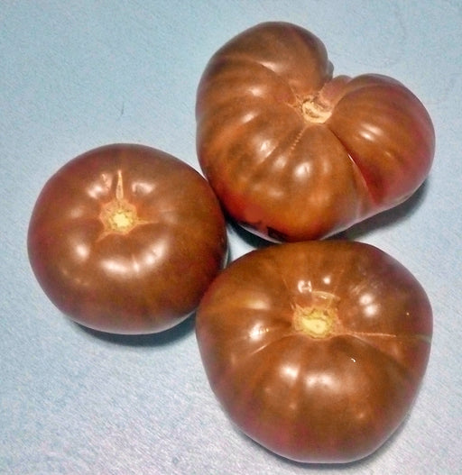 - BoxGardenSeedsLLC - Black Brandywine, Tomato, - - Seeds