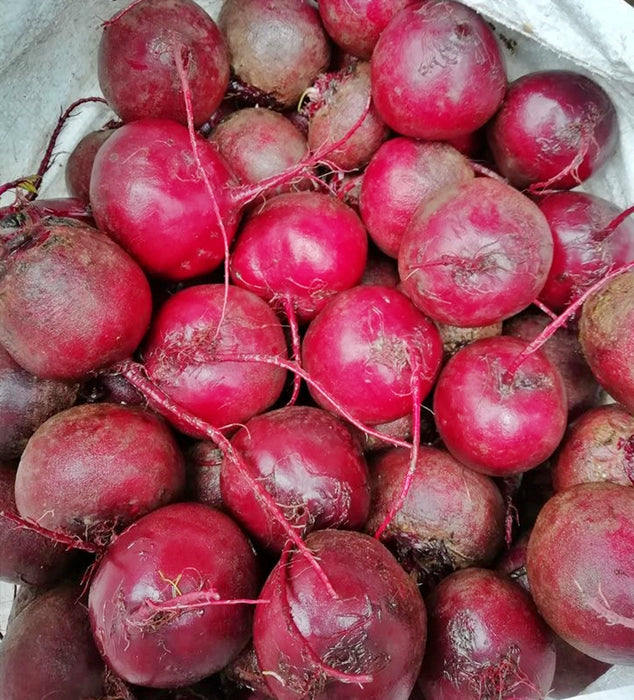 - BoxGardenSeedsLLC - Detroit Dark Red, Beets, - Beets,Turnips,Parsnips - Seeds