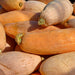 Jumbo Pink Banana, Winter Squash, - BoxGardenSeedsLLC -Squash,Pumpkins - Seeds