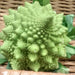 Romanesco Italian, Broccoli, - BoxGardenSeedsLLC -Broccoli,Cauliflower - Seeds