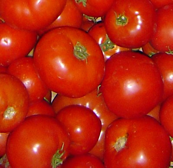 Rutgers, Tomato, - BoxGardenSeedsLLC -Tomatoes,Tomatillos - Seeds