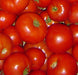 Rutgers, Tomato - BoxGardenSeedsLLC - Tomatoes,Tomatillos - Seeds - 