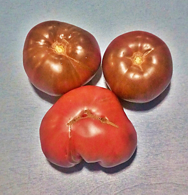 Black Brandywine, Tomato - BoxGardenSeedsLLC - Tomatoes,Tomatillos - Seeds - 