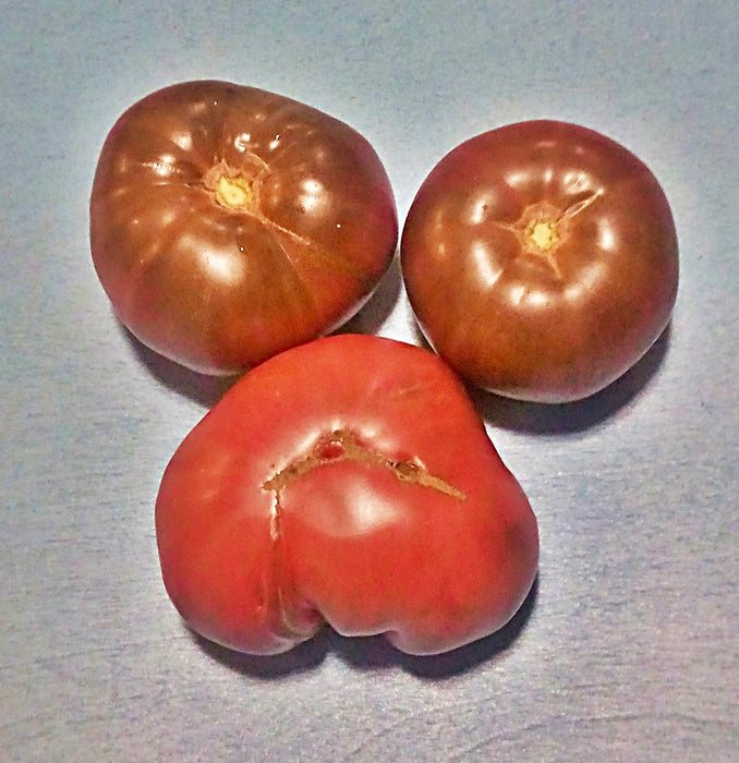 - BoxGardenSeedsLLC - Black Brandywine, Tomato, - Tomatoes,Tomatillos - Seeds