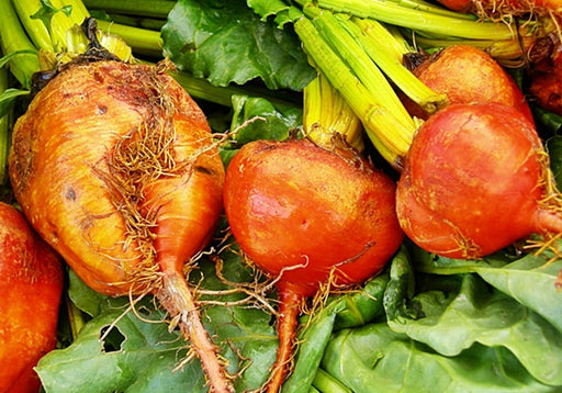 Golden Detroit, Beets, - BoxGardenSeedsLLC -Beet,Turnips,Parsnips - Seeds