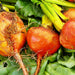 Golden Detroit, Beets, - BoxGardenSeedsLLC -Beet,Turnips,Parsnips - Seeds