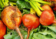 Golden Detroit, Beets - BoxGardenSeedsLLC - Beet,Turnips,Parsnips - Seeds - USA Seller, Thank you for shopping here today, Naturally Grown GMO Free Seeds, Heirloom Open Pollinated Seeds, Fresh Top Quality Premium Seeds