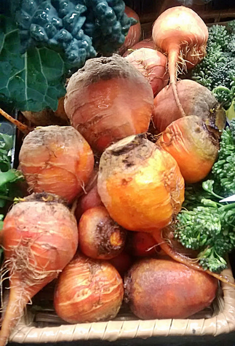 Golden Detroit, Beets, - BoxGardenSeedsLLC -Beet,Turnips,Parsnips - Seeds