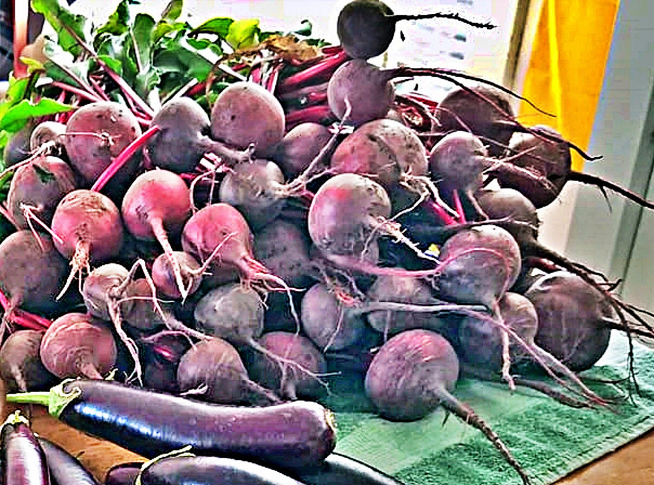 Detroit Dark Red, Beets, -- BoxGardenSeedsLLC -Beet,Turnips,Parsnips - Seeds