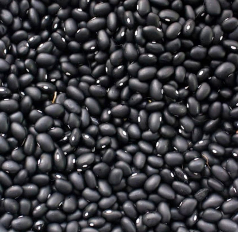 Black Turtle, Dry Bush Beans - BoxGardenSeedsLLC - Beans / Dry Beans - Seeds - USA Seller, Thank you for shopping here today, Naturally Grown GMO Free Seeds, Heirloom Open Pollinated Seeds, Fresh Top Quality Premium Seeds