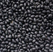 Black Turtle, Dry Bush Beans, -- BoxGardenSeedsLLC -Beans / Dry Beans - Seeds