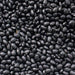 Hopi Black, Dry Bush Beans, - BoxGardenSeedsLLC -Beans / Dry Beans - Seeds