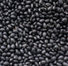 Hopi Black, Dry Bush Beans, -- BoxGardenSeedsLLC -Beans / Dry Beans - Seeds