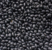Hopi Black, Dry Bush Beans - BoxGardenSeedsLLC - Beans / Dry Beans - Seeds - USA Seller, Thank you for shopping here today, Naturally Grown GMO Free Seeds, Heirloom Open Pollinated Seeds, Fresh Top Quality Premium Seeds